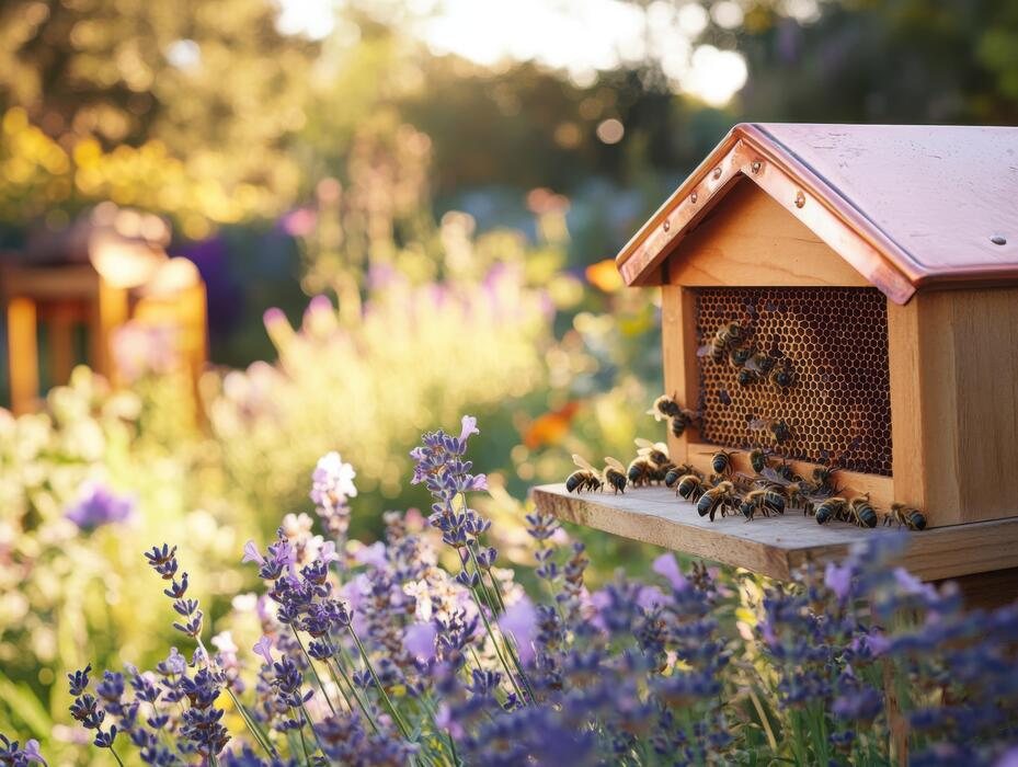 The farm's bee sanctuary