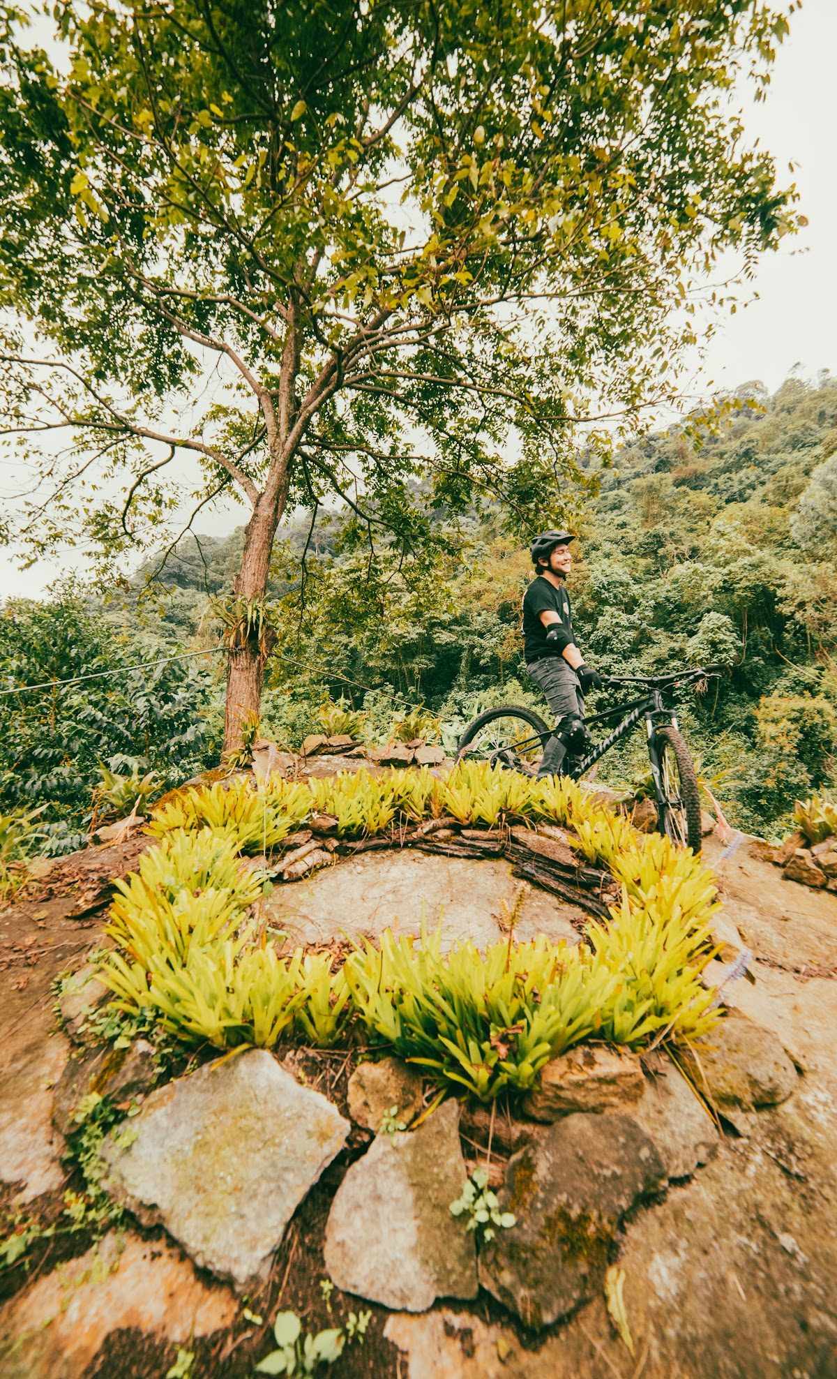 A mountain biker pausing on a rock outcrop above the forest