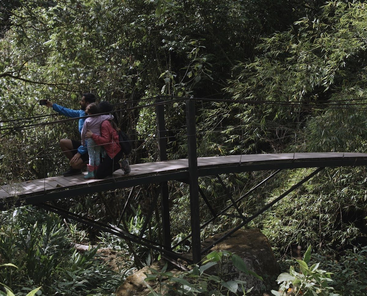Hikers crossing a bridge through the cloud forest