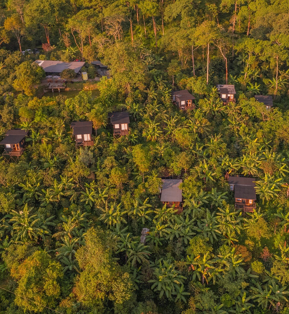 Golden-hour aerial view of the retreat's rooms tucked into the coffee forest