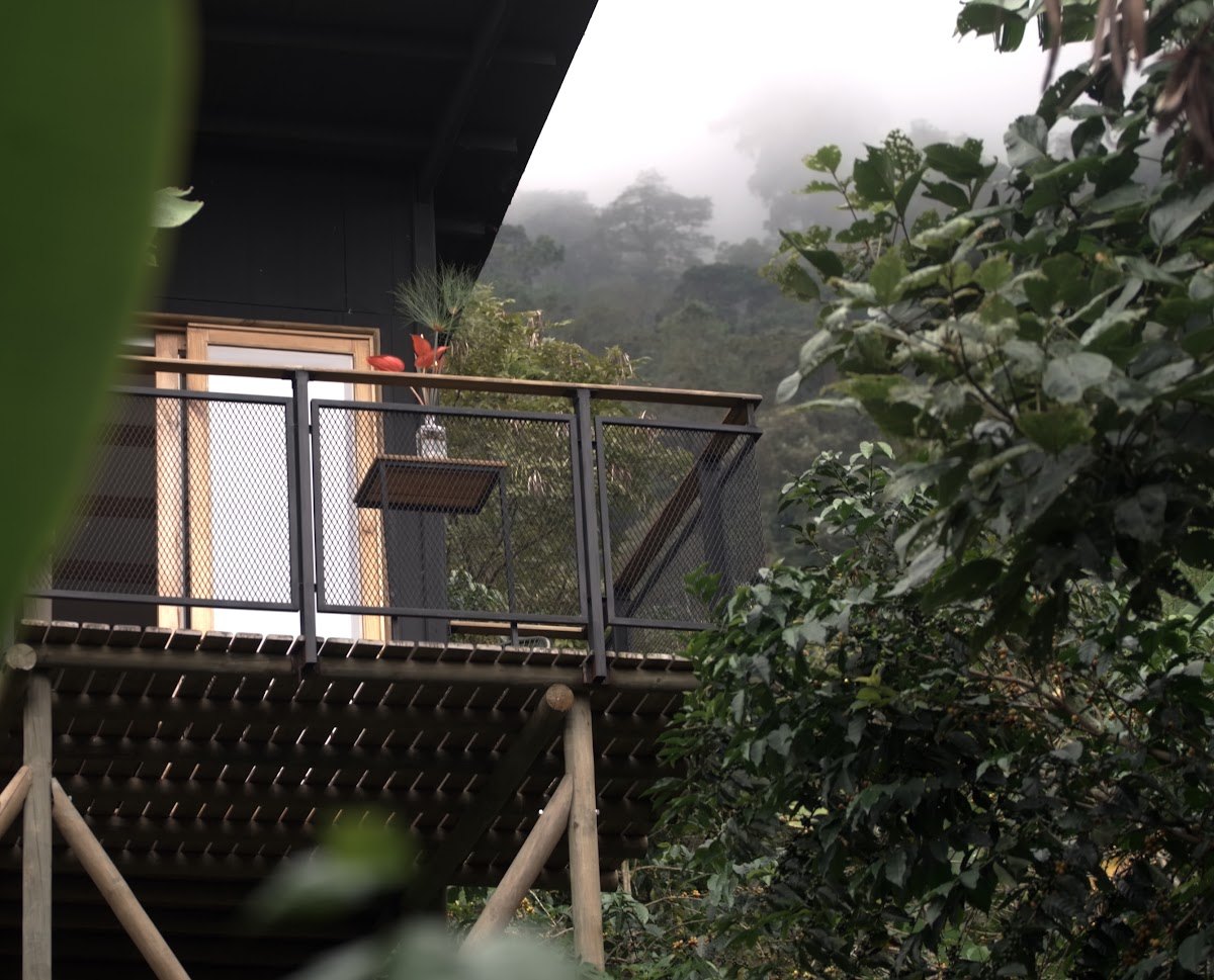 A cabin deck looking out over misty forest
