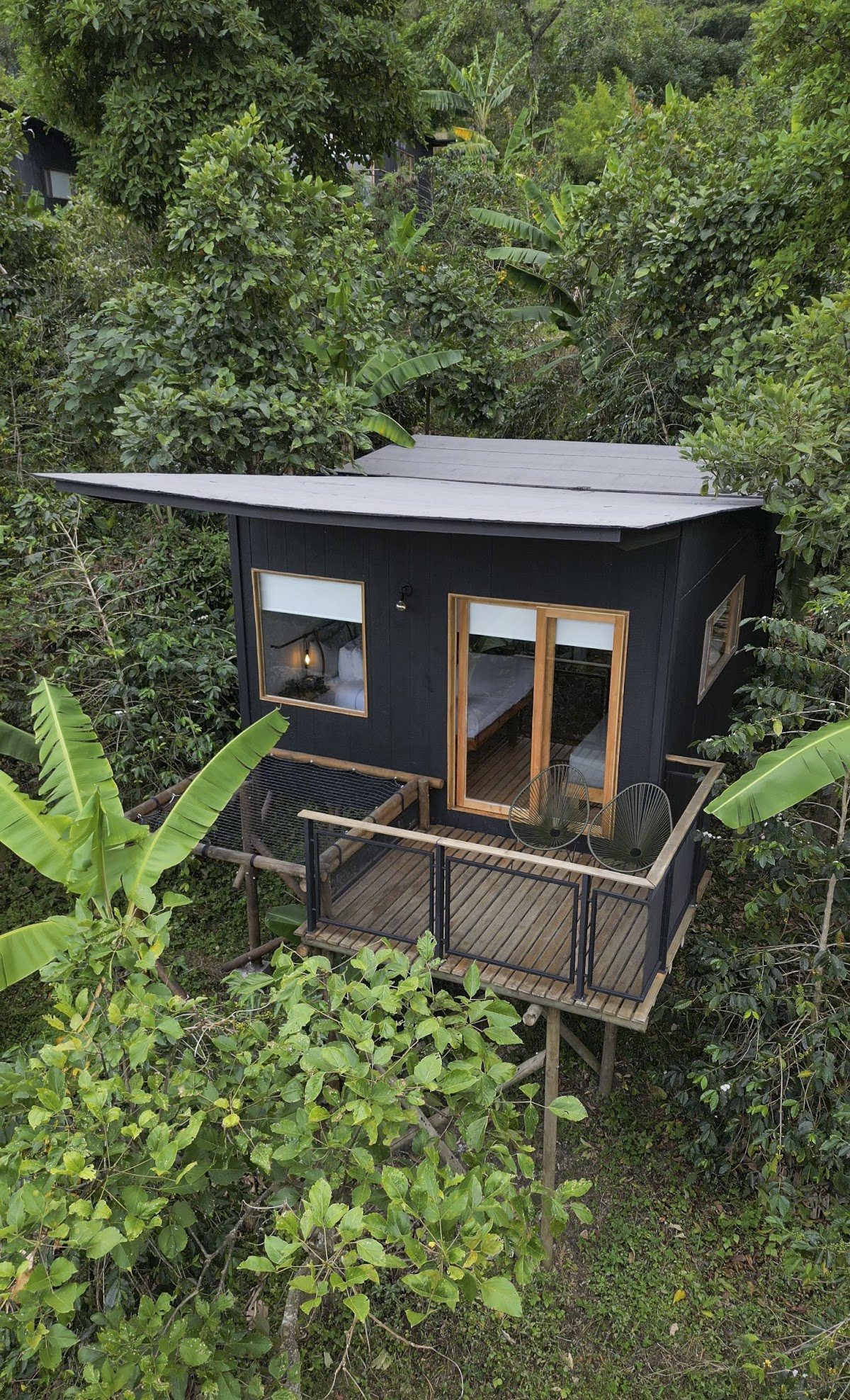 A stilted room with its deck among the coffee trees