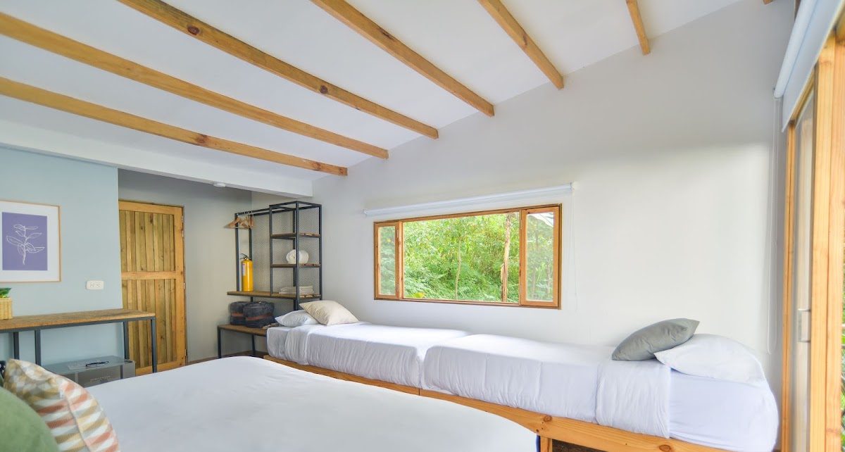 Beds along the window of the shared room