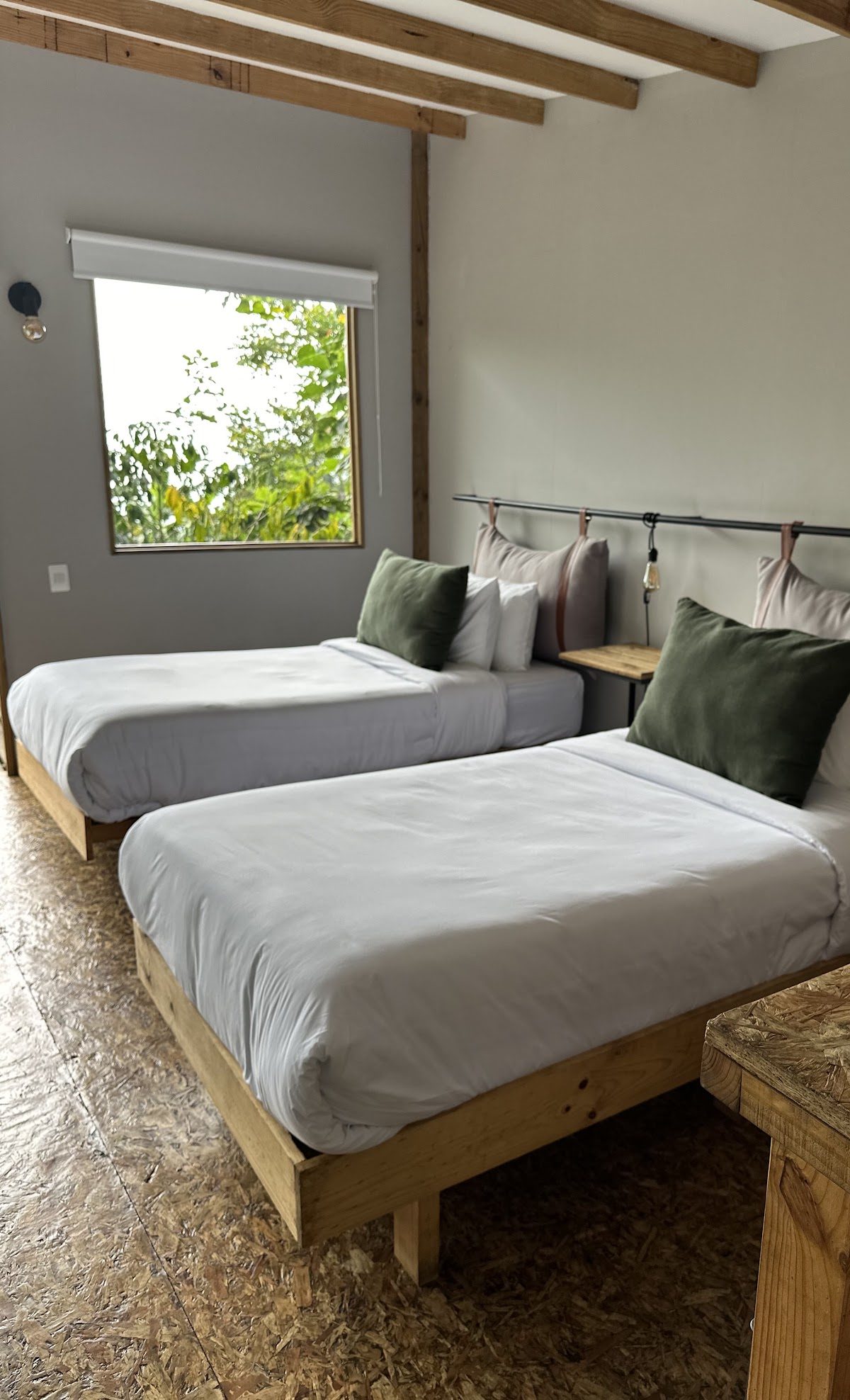 Two separate beds in the shared room